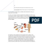 Actividades_Biologia