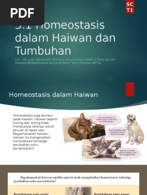 Sains T1 Bab 3 1 Pdf