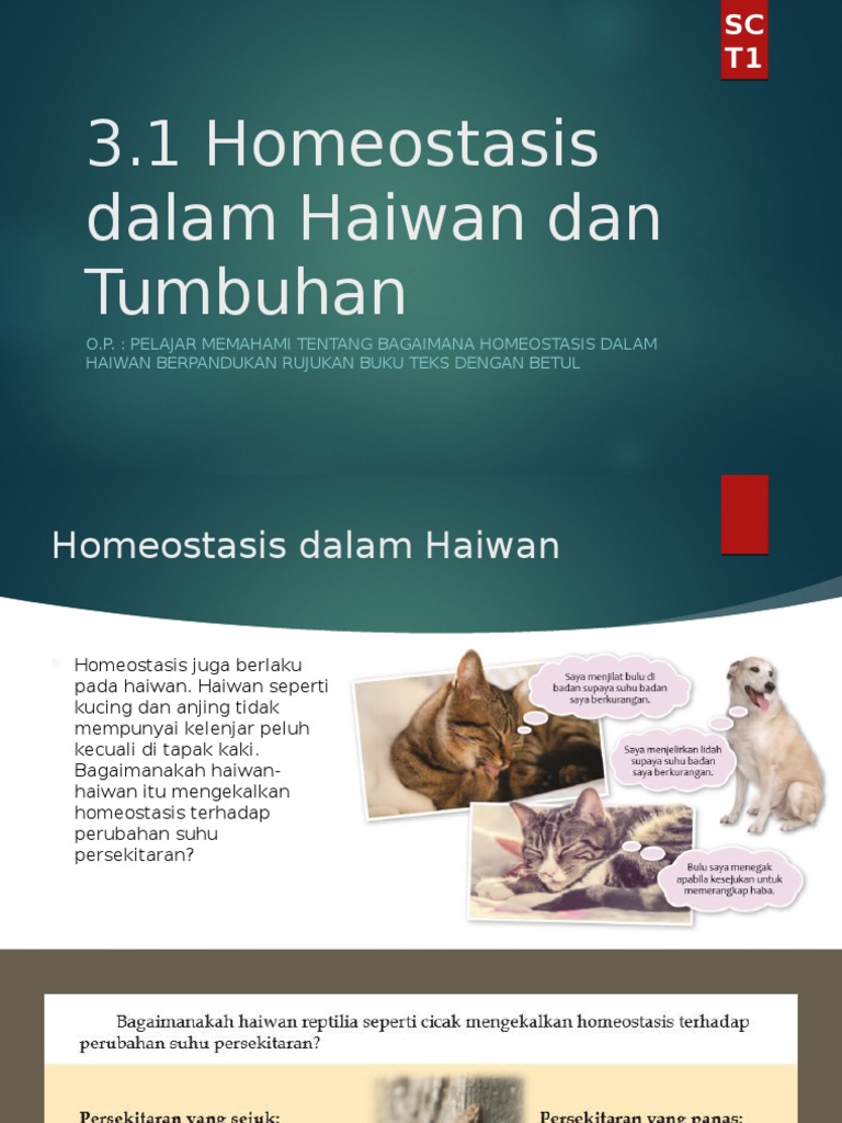 Sains T1 Bab 3 1 Pdf