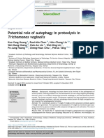 Potential Role of Autophagy in Proteolysis in Trichomonas Vaginalis