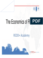 The Economics of REDD+ - Ivo Mulder