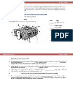 Cell Membrane Worksheets