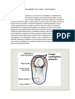 Sistema Cardiovascular. EMBRIOLOGIA PDF