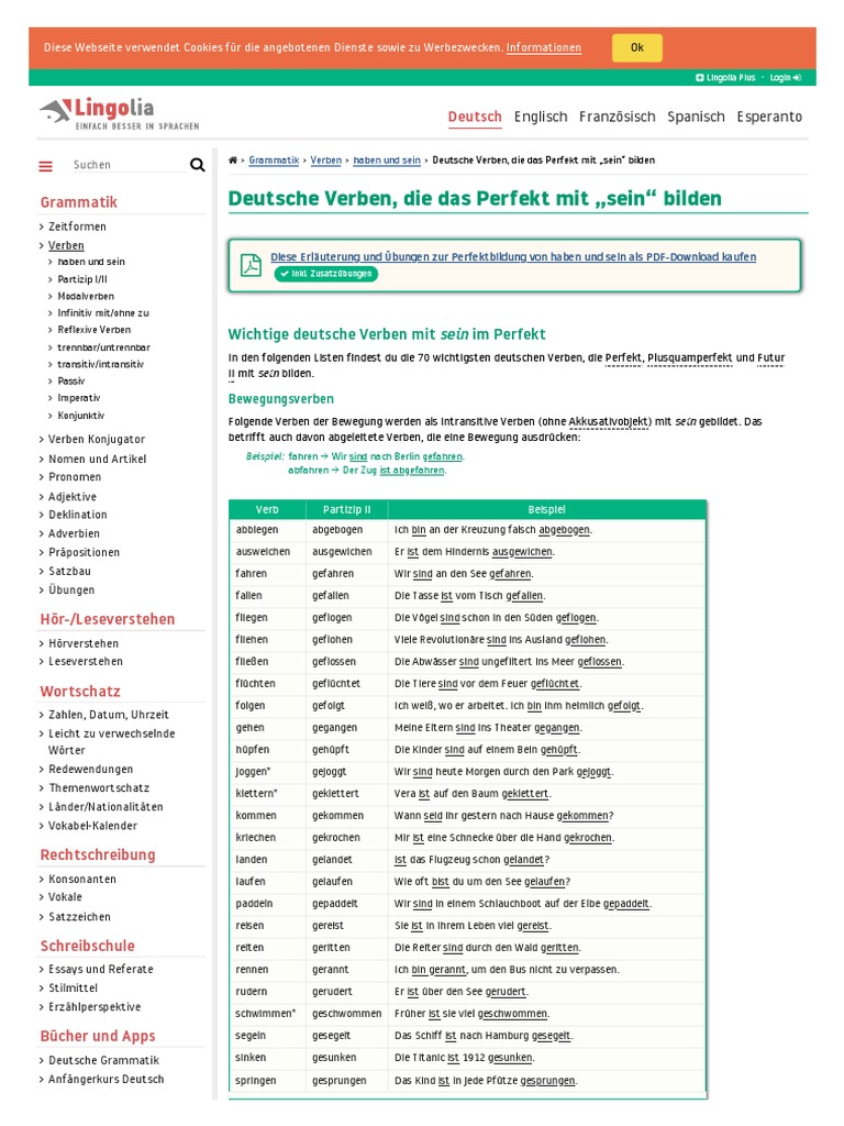 Verben Mit Sein | PDF