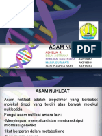 389062418-PPT-BIOKIMIA-2-asam-nukleat-ppt.ppt