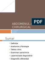 Abdomenul Acut Chirurgical Bintintan Ian 2009