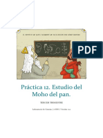 Practica 12. Estudio Del Moho Del Pan