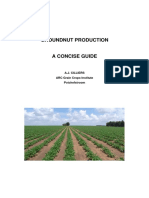 Groundnut Production.pdf