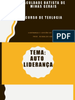 Auto Liderança