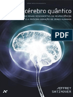 O cerebro quantico - as novas descobertas da neurociência e a próxima geração de seres humanos ( PDFDrive.com ).pdf