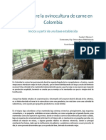 resena-sobre-la-ovinocultura-de-carne-en-colombia