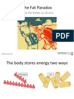 The Fat Paradox: How Fat Keeps Us Skinny