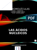 Las biomoléculas acidos nucleicos.pptx