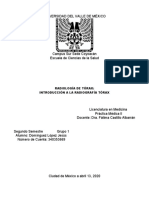 Introducción A La Radiología Pulmonar