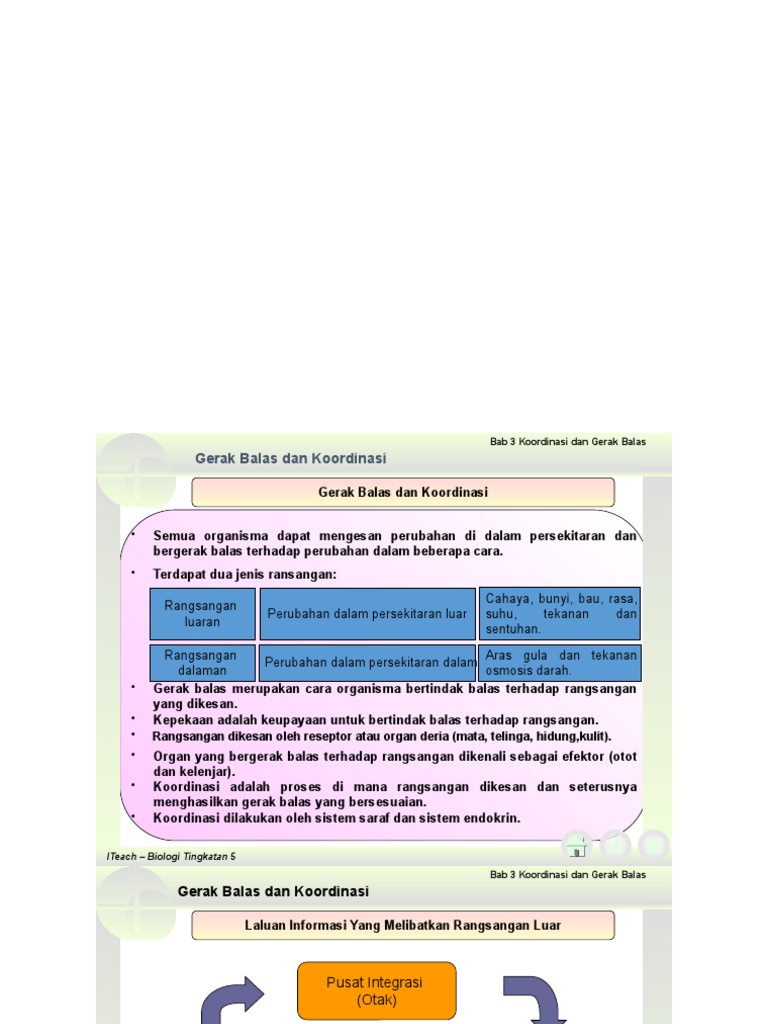 Ch Koordinasi Dan Tindak Balas Pdf