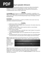 Protocols-Plasmid Screen