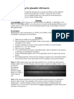 Protocols-Plasmid Screen