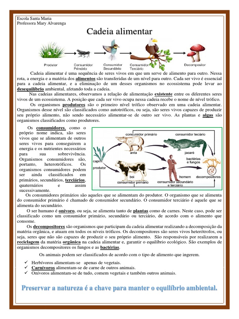Cadeias Alimentares e Teias Alimentares Quiz, image size:768x1024