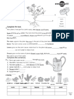 Parts and Functions of a Plant Worksheet