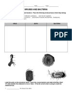 Viruses and Bacteria Worksheet