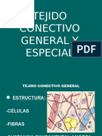 Tejido Conectivo