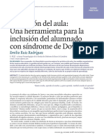 Inclusión y Sindrome de Down.pdf