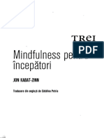 Mindfulness Pentru Incepatori