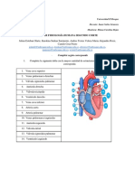 Grupo1_Taller fisiología.pdf