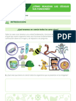 ciencias 5o.pdf