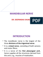 Mandibular Nerve, Chorda Tympani Nerve, Otic Ganglion
