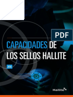 Hallite Empresa Español PDF