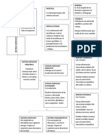 Mapa Conceptual Sistema Nerviosos