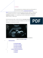 Una Visión Objetiva Sobre El Abort1