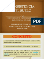 CONSISTENCIA DEL SUELO.pdf