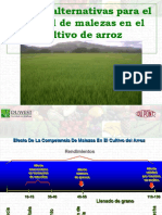 nuevas-alternativas-para-en-control-de-malezas-en-arroz.pdf