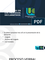 Audiencias en Los Procesos Declarativos