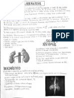 Arteria+Renal.pdf