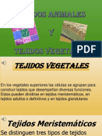biologia tejidos animales y vegetales.pdf
