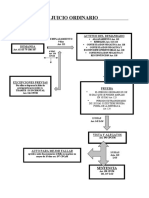 Esquema de Juicio Ordinario