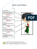 Deria Manusia Tahun 1 PDF