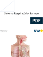 5f683a9a7165fe8a92cba23d728fef72-Sistema-Respirat--rio-Laringe.pdf