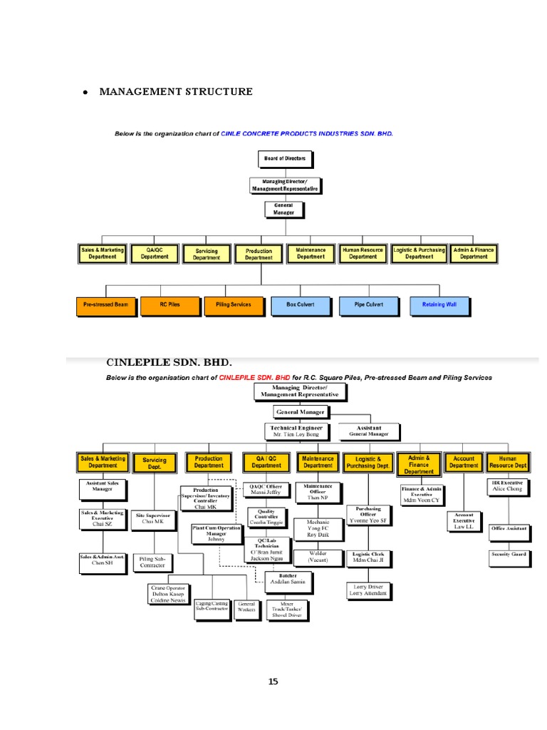 Management Structure | PDF