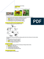 Soal Simulasi Bio 3