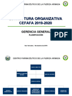 Estructura Organizativa Cefafa 2019