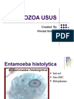 Asistensi Protozoa Usus