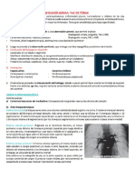 CLASE 5-6 - RX Y TAC