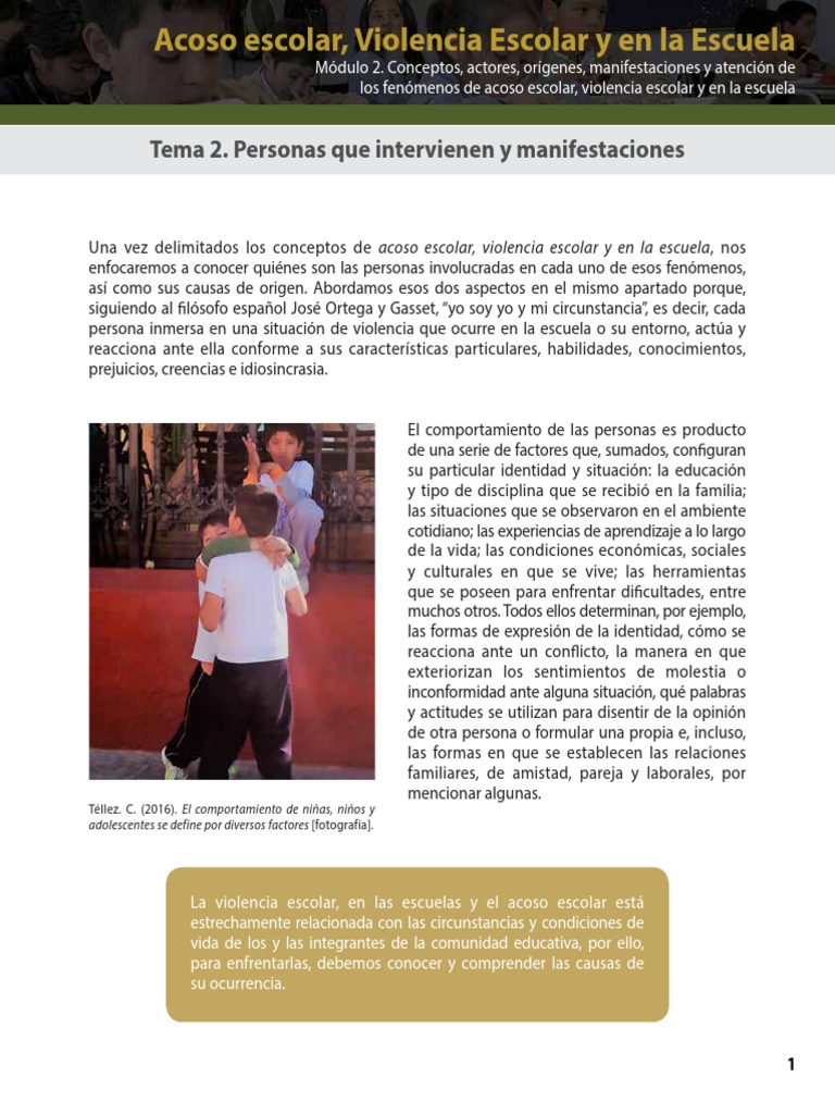 Tipos y Actores del Acoso Escolar | PDF | Violencia | Comportamiento