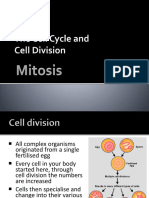 Cell Cycle and Mitosis