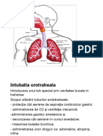 122004842-Intubatia-orotraheala.ppt