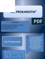 Sel Prokariotik